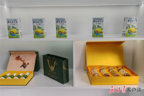 質(zhì)量溯源 讓渭源道地中藥材“身份”明明白白